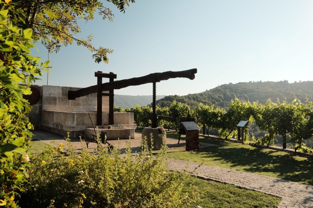 Gastronomía y bodegas