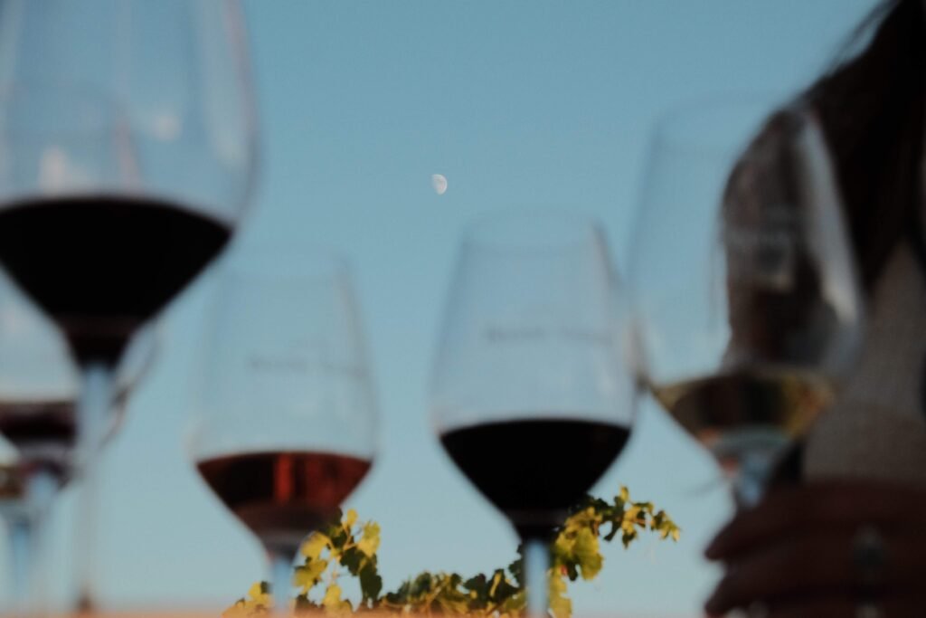Gastronomía y bodegas