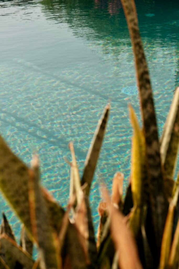 Twin Apartments, Creta: plantas junto al agua turquesa de la piscina