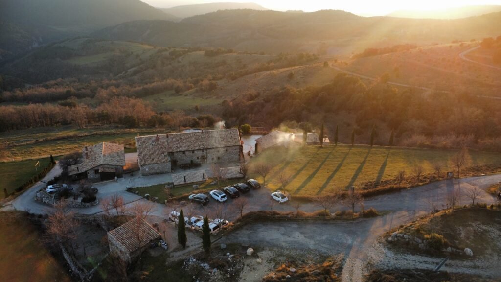Dron