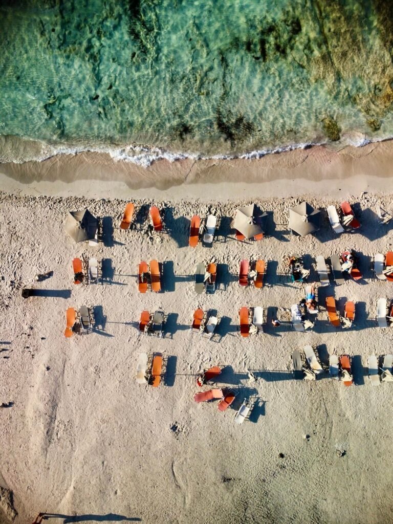 Dron