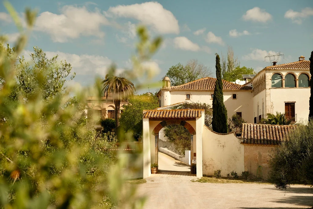 Can Ràfols dels Caus, Penedès: camino entre olivos hacia la masía