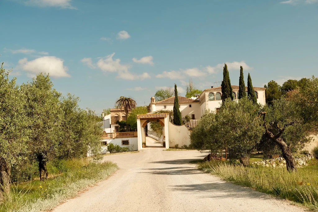 Can Ràfols dels Caus, Penedès: camino de acceso a la finca