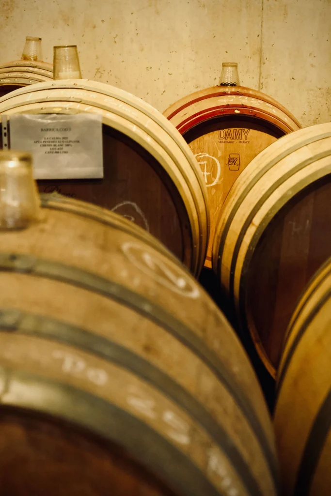 Can Ràfols dels Caus, Penedès: barricas de roble en fila