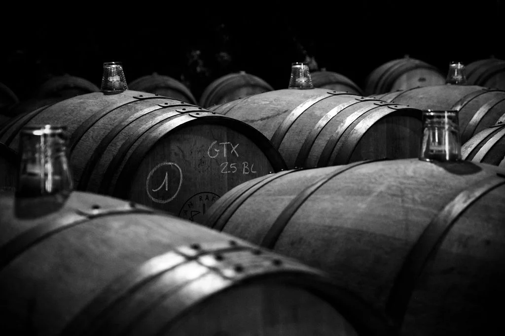 Can Ràfols dels Caus, Penedès: barricas en penumbra
