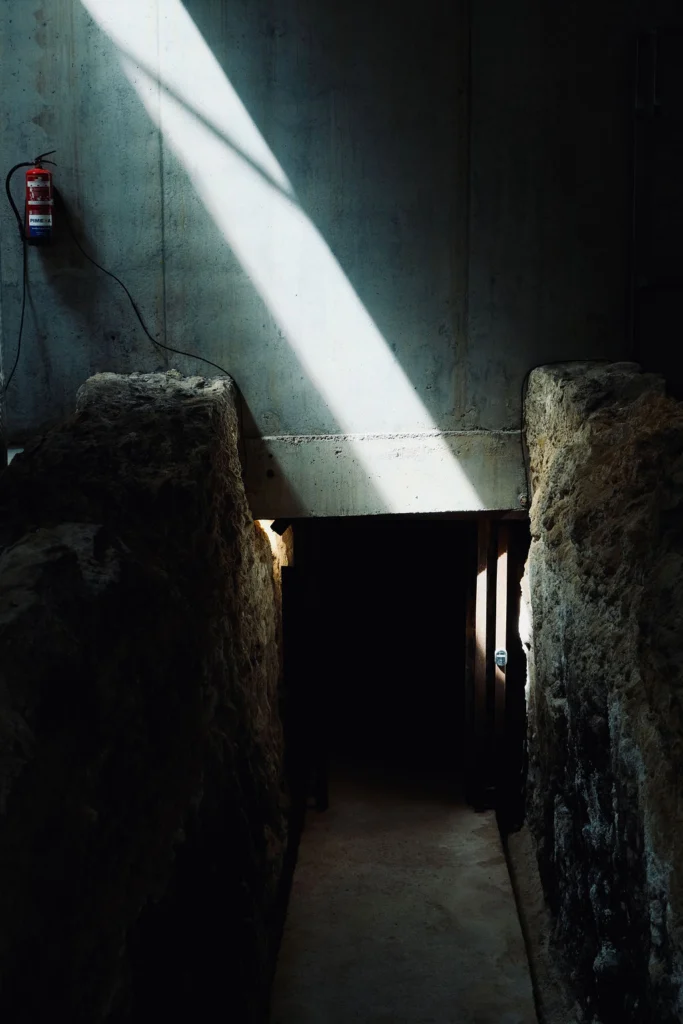 Can Ràfols dels Caus, Penedès: luz cenital entrando en la bodega